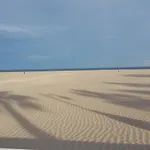 Arena's 아파트 *